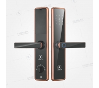Khóa vân tay Kassler Kl-566 Copper App Bluetooth, Remote