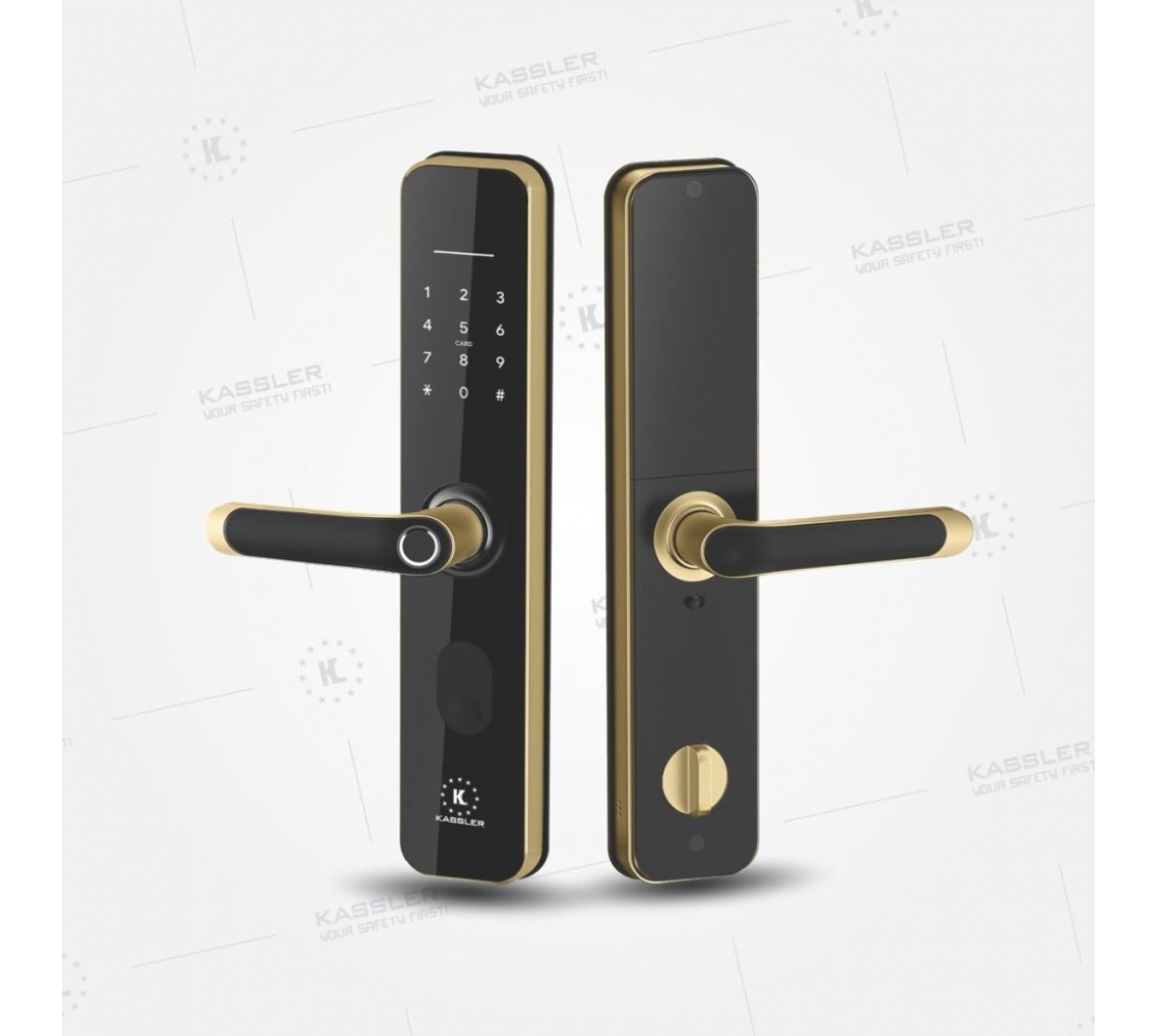 Khóa cửa vân tay Kassler KL-696 Gold App TTlock, Remote – chống nước